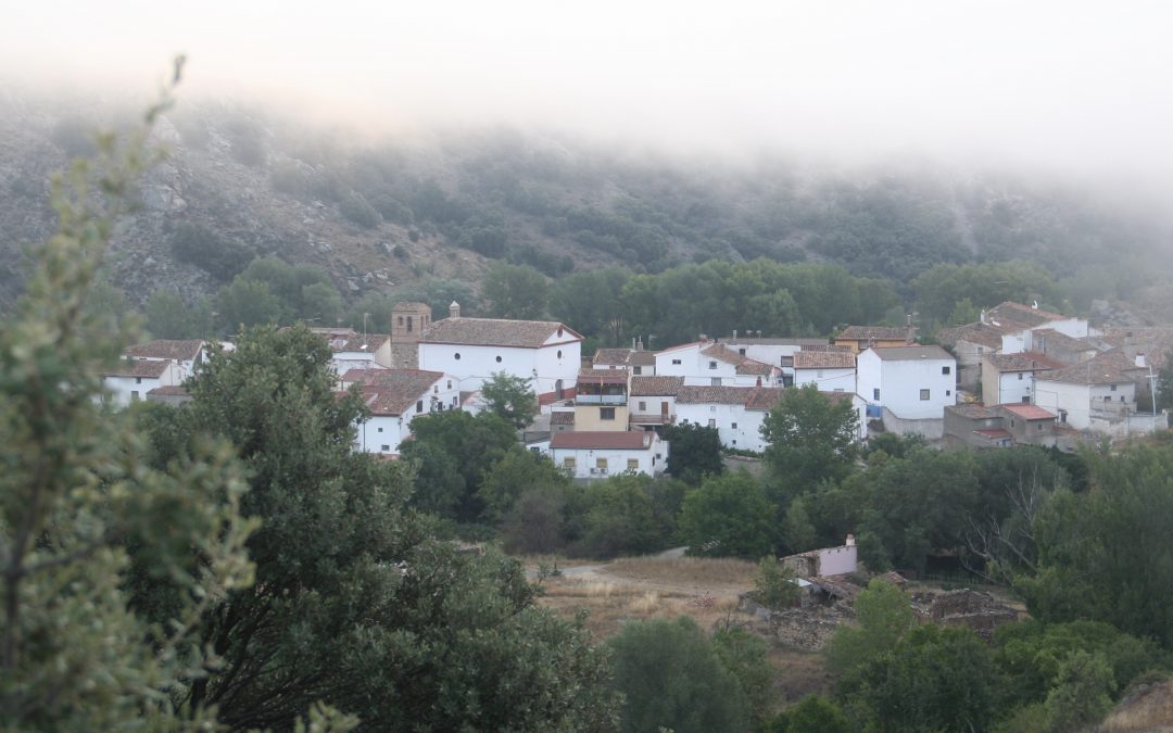 Cerveruela 2021